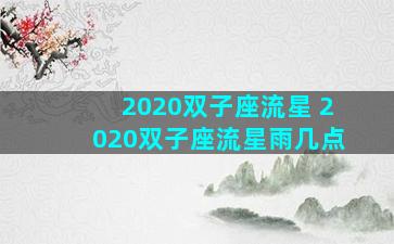 2020双子座流星 2020双子座流星雨几点